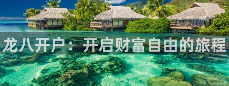下载BB贝博艾弗森：龙八开户：开启财富自由的旅程
