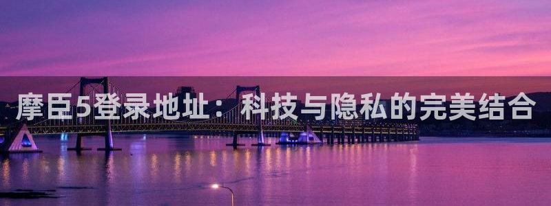BB贝博艾弗森官网版：摩臣5登录地址：科技与隐私的完美结合