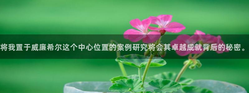 BB贝博艾弗森平台登录：将我置于威廉希尔这个中心位置的案例研究将会其卓越成就背后