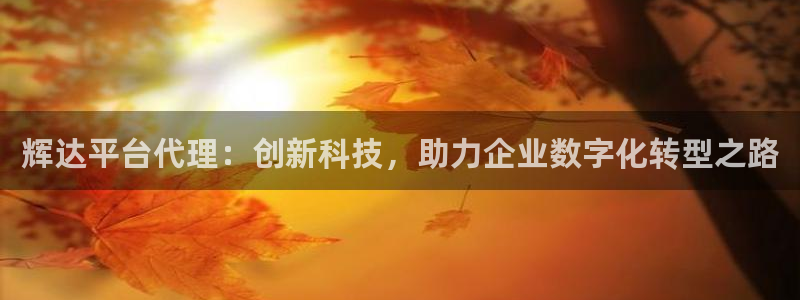 BB贝博艾弗森在线下载：辉达平台代理：创新科技，助力企业数字化转型之路