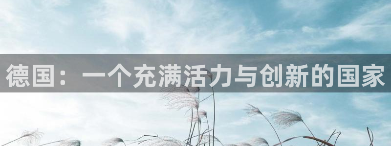 BB贝博艾弗森平台开户链接：德国：一个充满活力与创新的国家