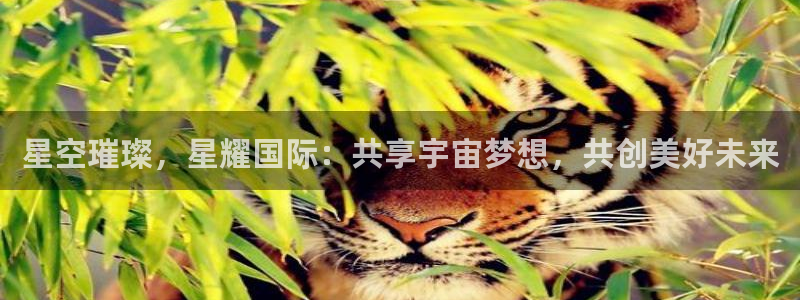 BB贝博艾弗森体育官网：星空璀璨，星耀国际：共享宇宙梦想，共创美好未来