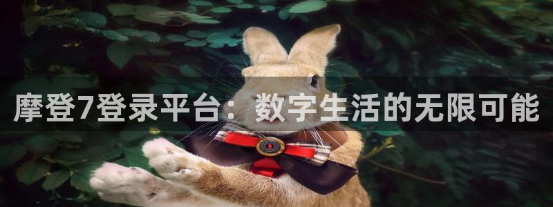 BB贝博艾弗森体育2官网入口：摩登7登录平台：数字生活的无限可能