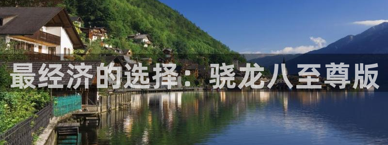 BB贝博艾弗森4开户：最经济的选择：骁龙八至尊版