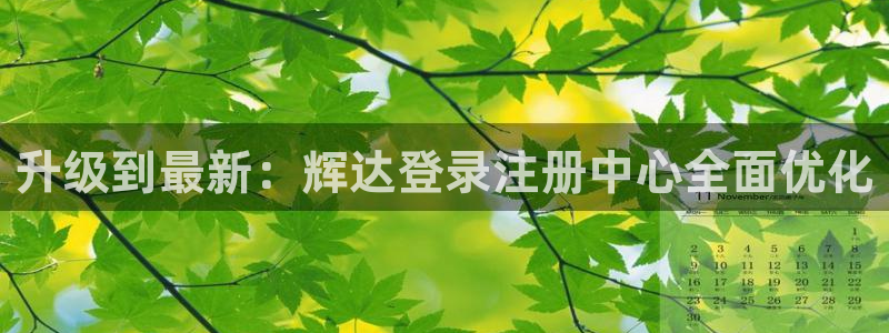 BB贝博艾弗森登录：升级到最新：辉达登录注册中心全面优化