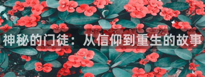 BB贝博艾弗森ccm麻将胡了：神秘的门徒：从信仰到重生的故事