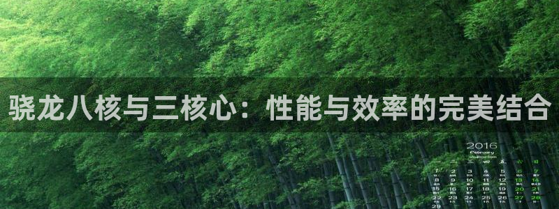 BB贝博艾弗森2登录地址：骁龙八核与三核心：性能与效率的完美结合