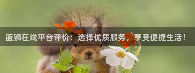 BB贝博艾弗森体育老板是谁：蓝狮在线平台评价：选择优质服务，享受便捷生活！