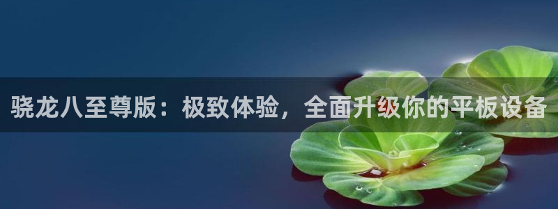 BB贝博艾弗森平台在线开户：骁龙八至尊版：极致体验，全面升级你的平板设备