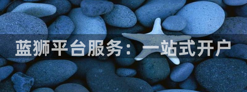 BB贝博艾弗森平台注册：蓝狮平台服务：一站式开户