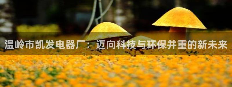 BB贝博艾弗森2登录入口：温岭市凯发电器厂：迈向科技与环保并重的新未来