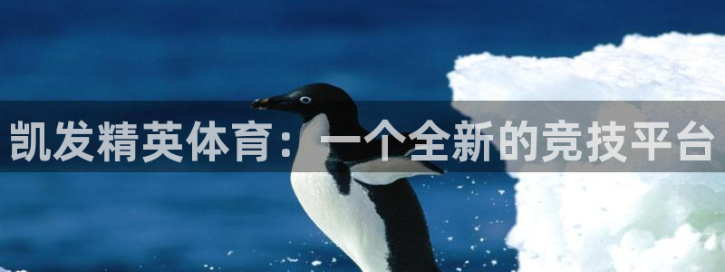 BB贝博艾弗森下载入口：凯发精英体育：一个全新的竞技平台