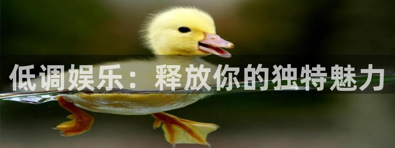 BB贝博艾弗森登录：低调娱乐：释放你的独特魅力