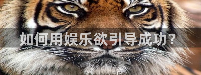 BB贝博艾弗森2官网：如何用娱乐欲引导成功？