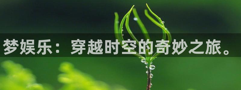 BB贝博艾弗森注册官网入口：梦娱乐：穿越时空的奇妙之旅。