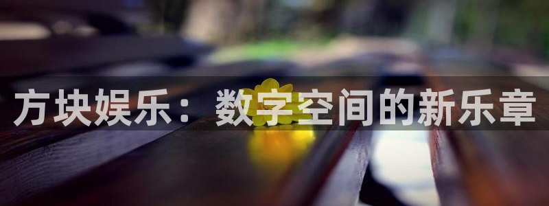 佛山市南海BB贝博艾弗森机电仪器有限公司：方块娱乐：数字空间的新乐章