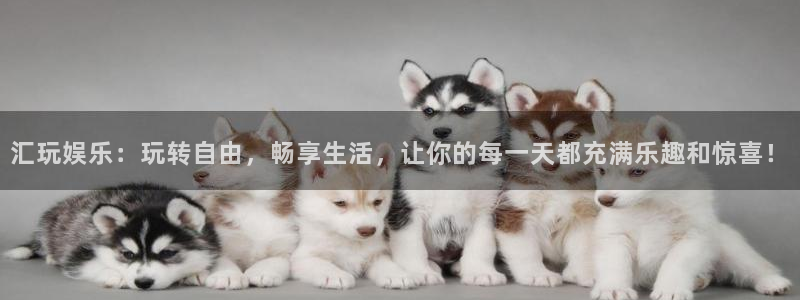 BB贝博艾弗森3登录：汇玩娱乐：玩转自由，畅享生活，让你的每一天都充满乐趣和惊喜