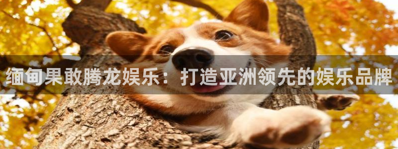 BB贝博艾弗森平台链接：缅甸果敢腾龙娱乐：打造亚洲领先的娱乐品牌