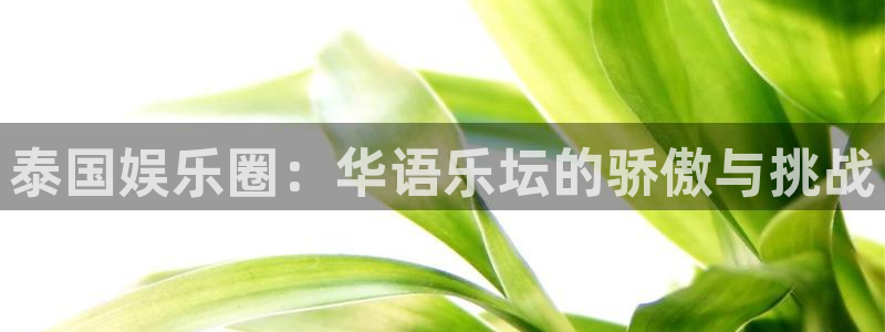 BB贝博艾弗森5招商：泰国娱乐圈：华语乐坛的骄傲与挑战