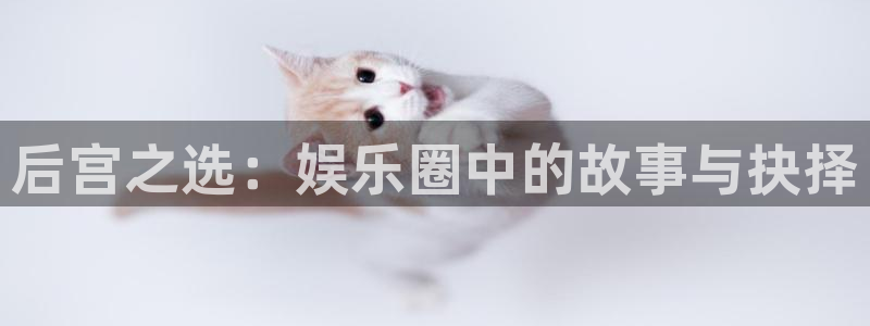 BB贝博艾弗森下载二维码：后宫之选：娱乐圈中的故事与抉择