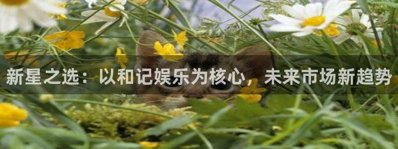 BB贝博艾弗森哪个游戏好爆：新星之选：以和记娱乐为核心，未来市场新趋势