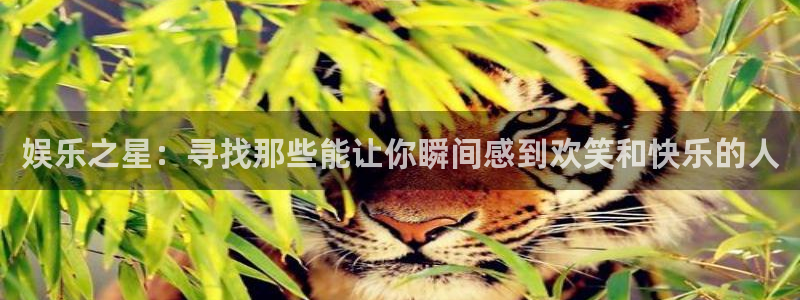 BB贝博艾弗森平台在线注册：娱乐之星：寻找那些能让你瞬间感到欢笑和快乐的人