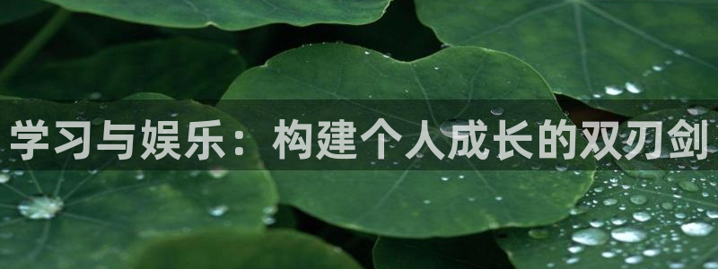 BB贝博艾弗森下载并安装：学习与娱乐：构建个人成长的双刃剑