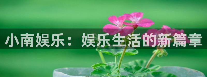 BB贝博艾弗森官网：小南娱乐：娱乐生活的新篇章