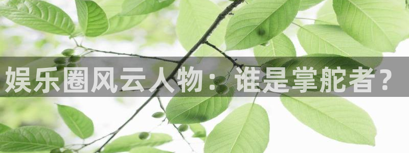 BB贝博艾弗森.ccmpc正版官网版下载：娱乐圈风云人物：谁是掌舵者？
