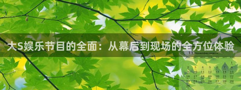 BB贝博艾弗森加拿大app预测：大S娱乐节目的全面：从幕后到现场的全方位体验
