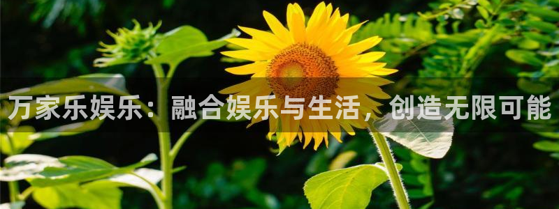 BB贝博艾弗森体育2官网入口