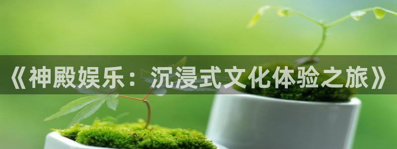 BB贝博艾弗森vk