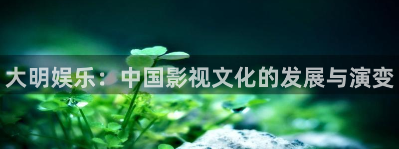 BB贝博艾弗森电子游戏网页版