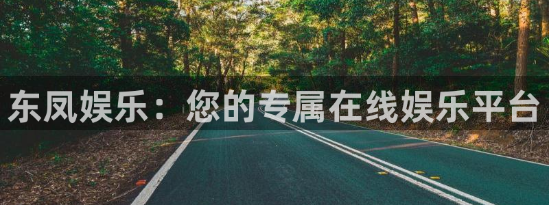 BB贝博艾弗森4：东凤娱乐：您的专属在线娱乐平台