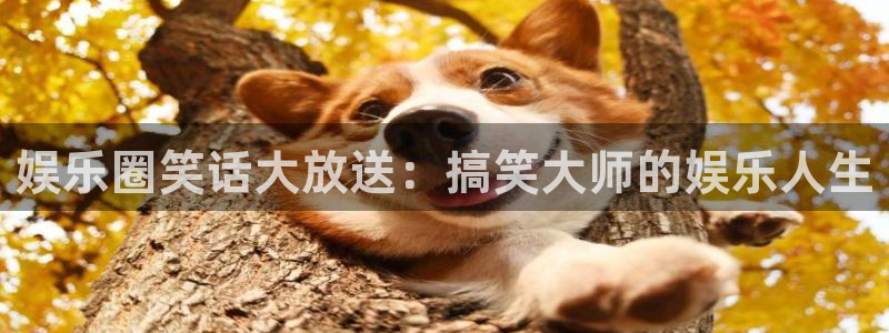 BB贝博艾弗森体育平台总代理：娱乐圈笑话大放送：搞笑大师的娱乐人生