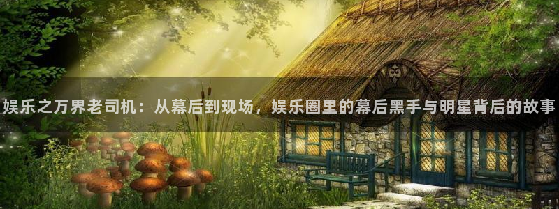 BB贝博艾弗森是赌博吗：娱乐之万界老司机：从幕后到现场，娱乐圈里的幕后黑手与明星