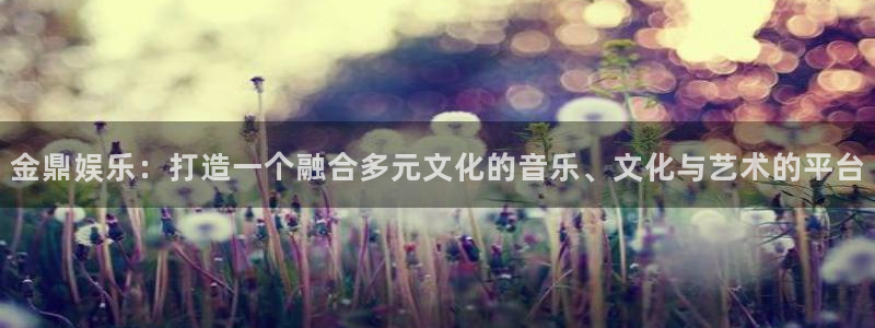 BB贝博艾弗森平台官网版下载：金鼎娱乐：打造一个融合多元文化的音乐、文化与艺术的