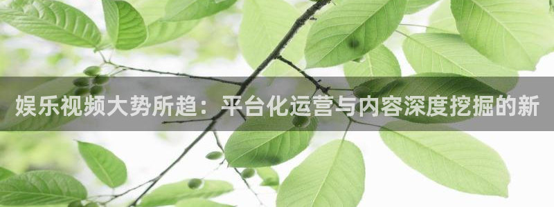 BB贝博艾弗森游戏有哪些好玩的：娱乐视频大势所趋：平台化运营与内容深度挖掘的新