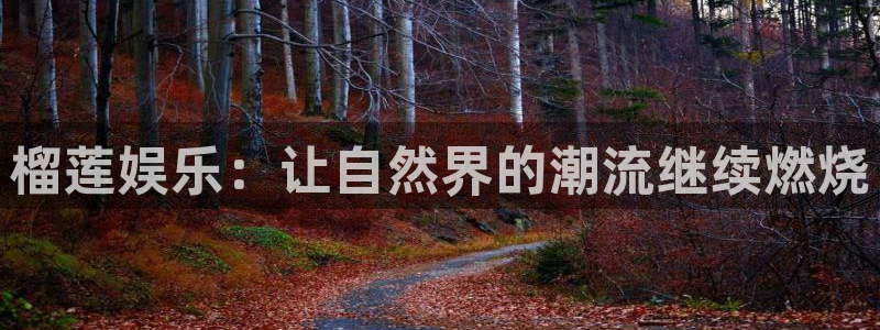 BB贝博艾弗森app 是什么