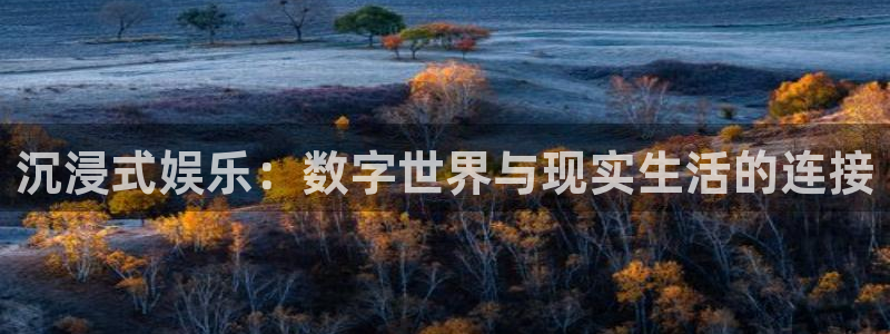 BB贝博艾弗森官网注册：沉浸式娱乐：数字世界与现实生活的连接